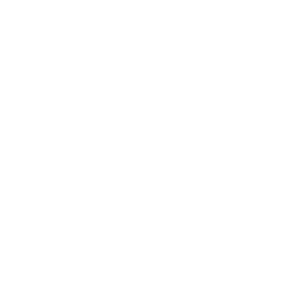 solvirex_logo_facebook